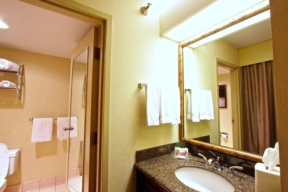 Holiday Inn Tampa Westshore - Airport Area By Ihg 3*,
